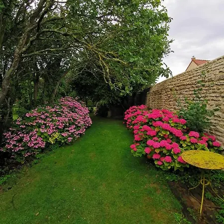 Grenier De L, Iris * Sainte-Croix-sur-Mer