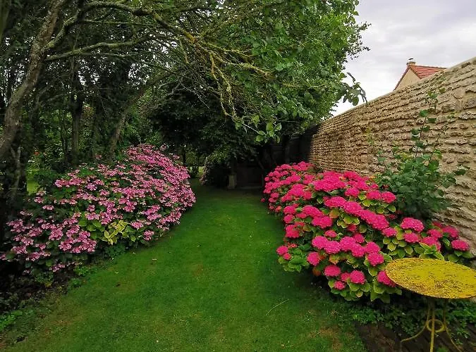 Grenier De L, Iris * Sainte-Croix-sur-Mer